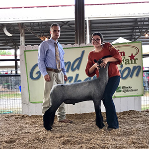 Whitcomb Club Lambs Winners