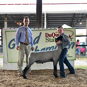 Whitcomb Club Lambs Winners
