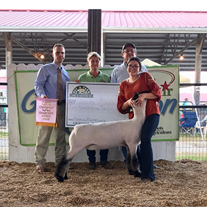 Whitcomb Club Lambs Winners