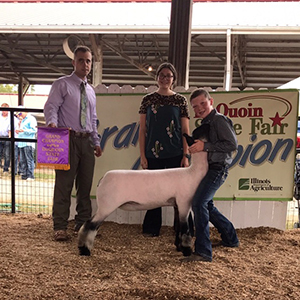 Whitcomb Club Lambs Winners