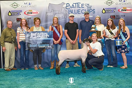 Whitcomb Club Lambs Winners
