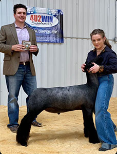 Whitcomb Winners
